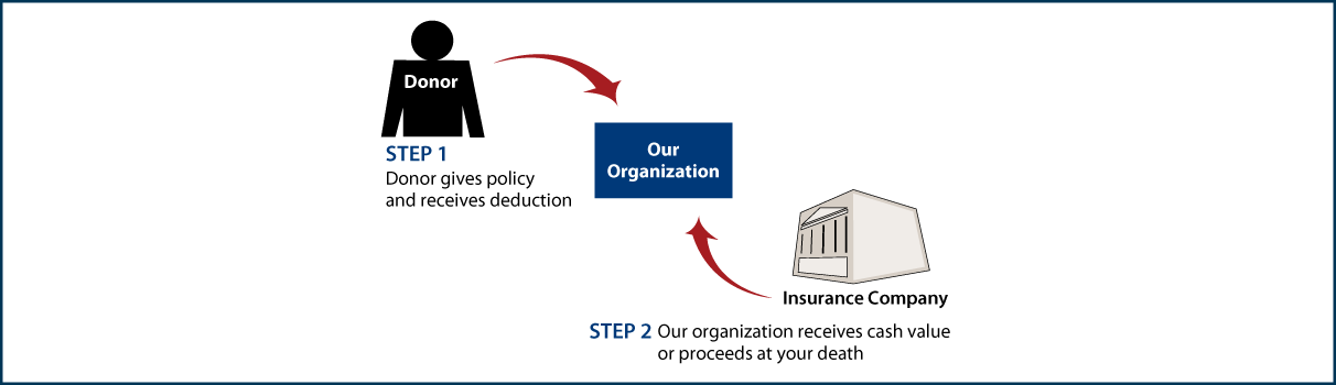 Life Insurance Policy Thumbnail